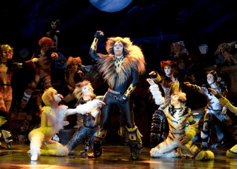 com Chicago Playing at CIBC Theatre Dates January 17 - 29, 2023 Runtime 2 hours and 30 minutes with an intermission Our audiences are recommended to wear masks throughout the theatre. . Cats the musical tour 2023